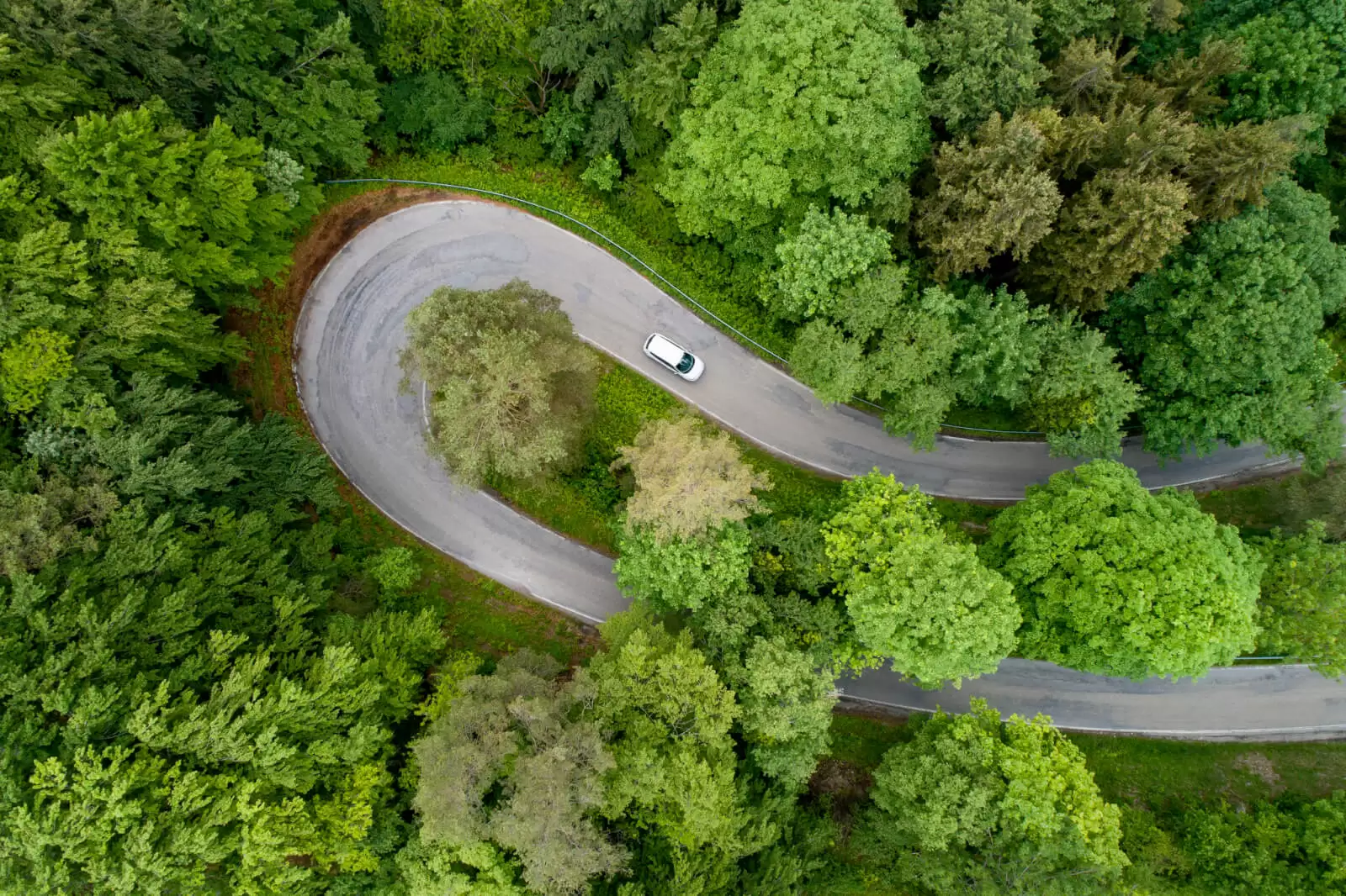 Vista aerea de un coche tomando una curva en medio del bosque